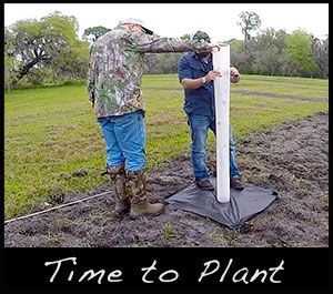 Planting a tree plot.