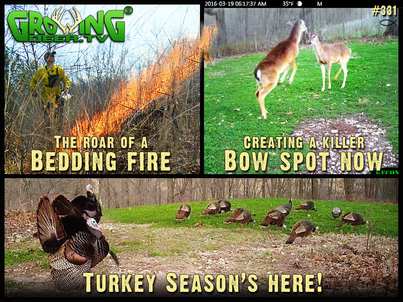 We share tips on how to improve your hunting land in GrowingDeer episode #331.