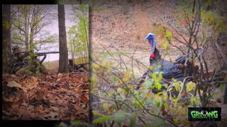 Kentucky Turkey Hunt: Turkey Down!