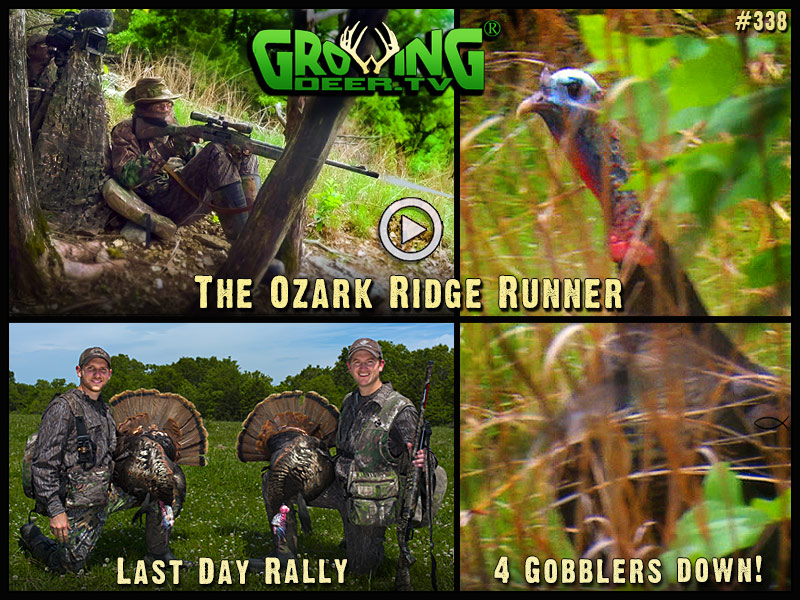 Watch late season gobbler action in GrowingDeer episode #338.