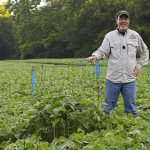 Dr. Grant Woods Stands beside a utilizaiton cage in a field of eagle seed soybeans