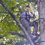 Adam prepares to trim a tree stand location.