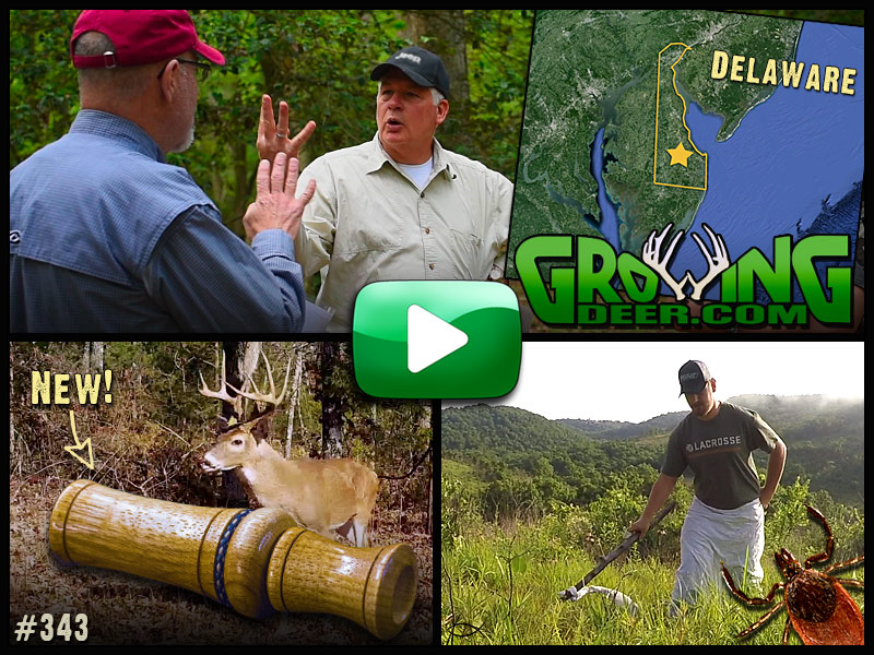 Watch GrowingDeer episode 343 Tips To Attract And Hold Deer On Your Property