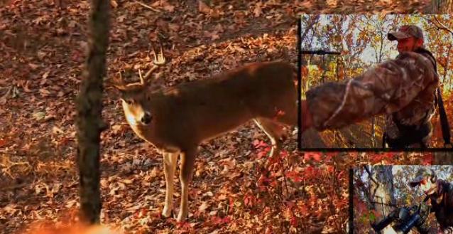 A shooter buck is in bow range.