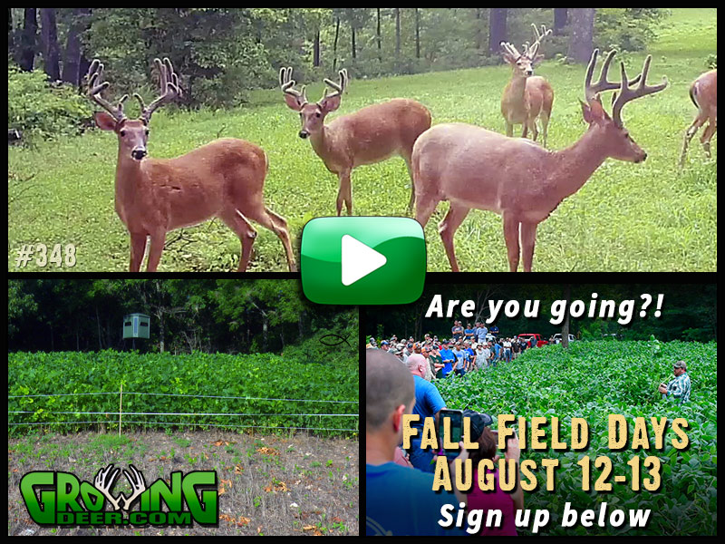Learn how to build a hit list in GrowingDeer episode #348.