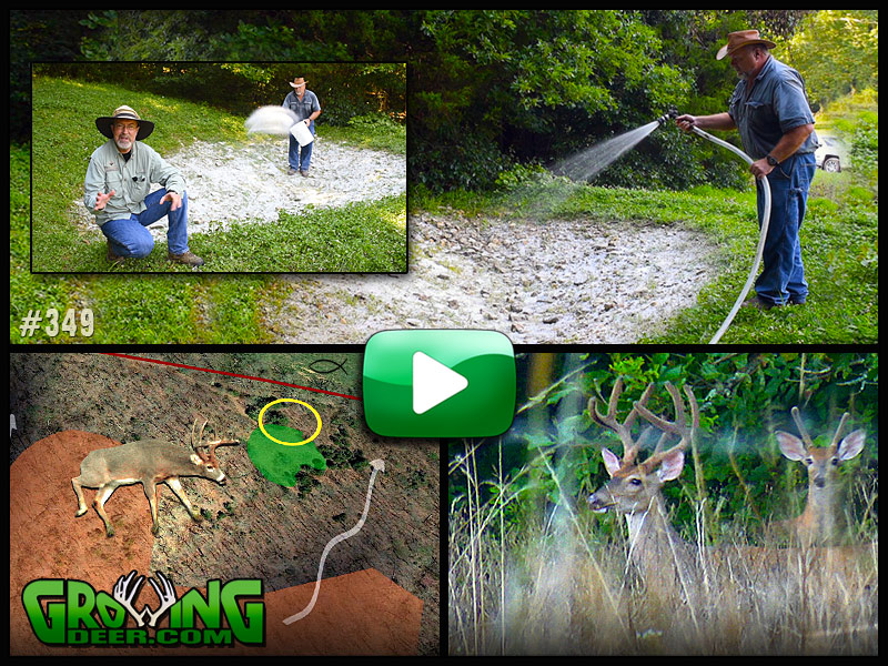 Learn hunting strategies for ponds and pasture land in GrowingDeer episode 349.