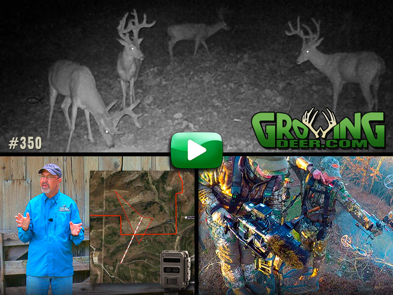 Learn strategies for hunting mature bucks in GrowingDeer episode 350.