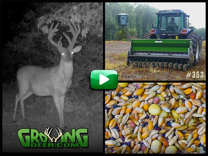 Learn about fall food plot techniques in GrowingDeer episode 353.