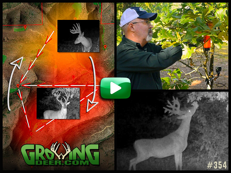 Learn how to pattern a mature buck in GrowingDeer episode 354.