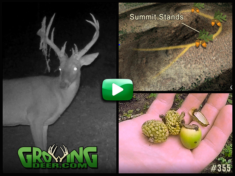 Watch GrowingDeer episode 355 to learn what methods of scouting we use!