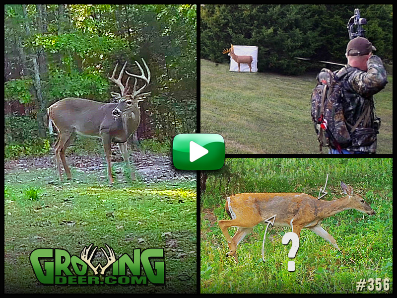 Watch the warm up to deer season in GrowingDeer episode 356.