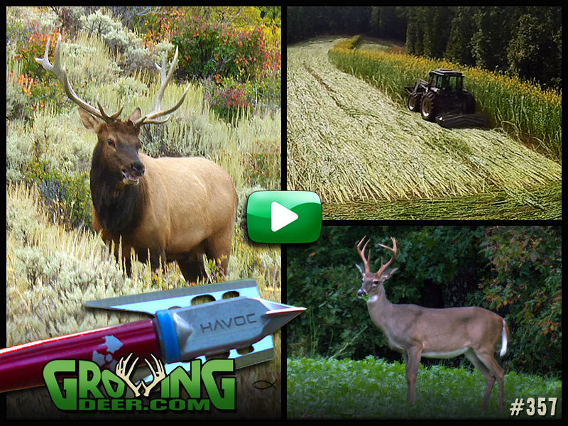 Watch GrowingDeer episode 357 to see how we battle the challenges and adventures of early season hunting.