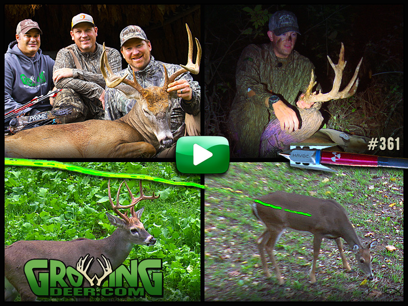 Watch intense deer hunting action in GrowingDeer episode #361.
