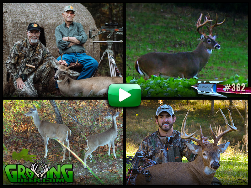 More whitetail hunting action in GrowingDeer episode #362.