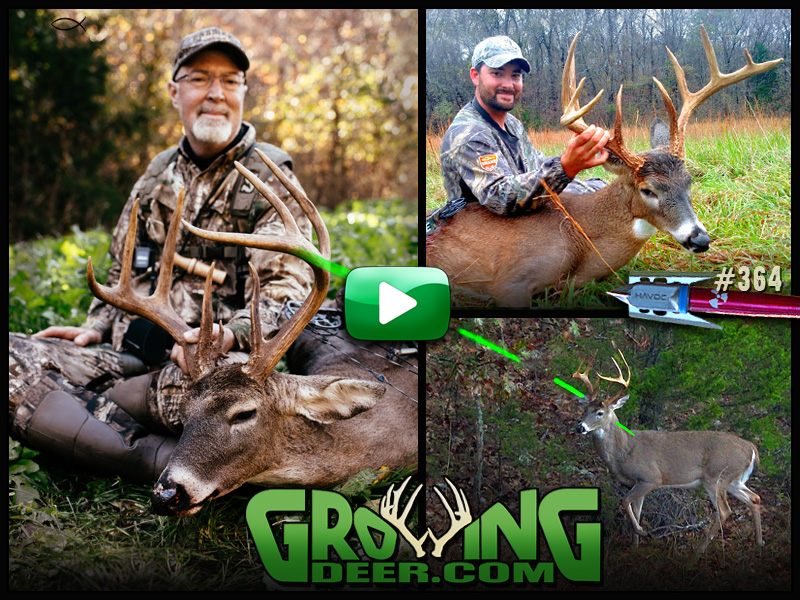 Watch GrowingDeer episode 364 as two Ozark deer are tagged during bow season.