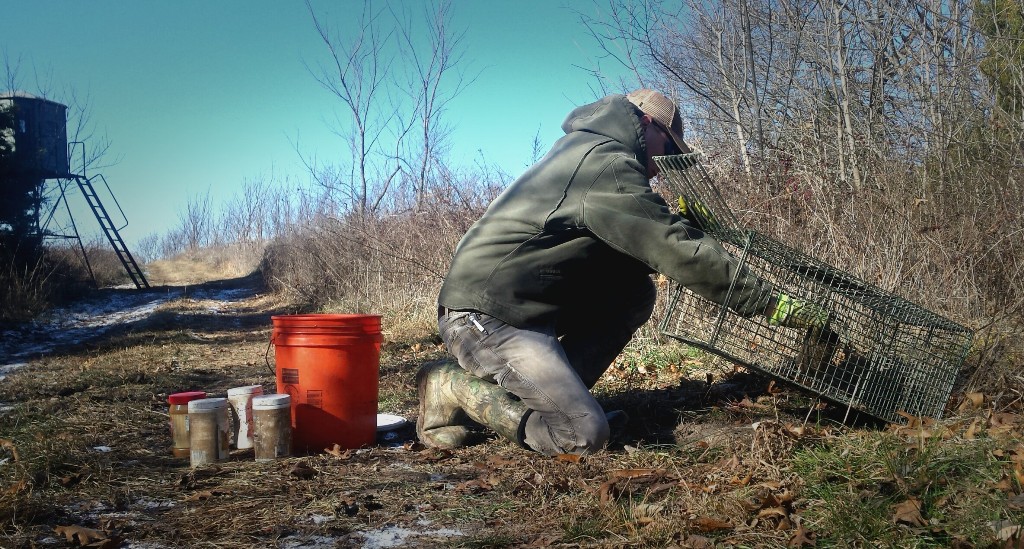  Checking the trap line