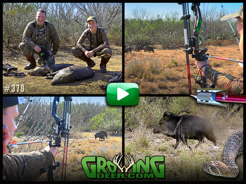 Watch the GrowingDeer Team go to south Texas in episode #378.