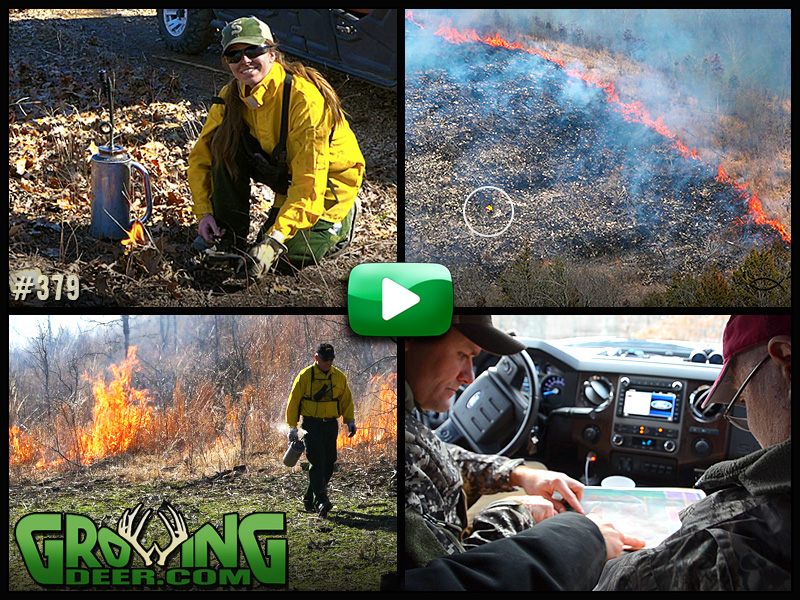 Prescribed fire and Trophy Rocks hit the ground in GrowingDeer episode 379.