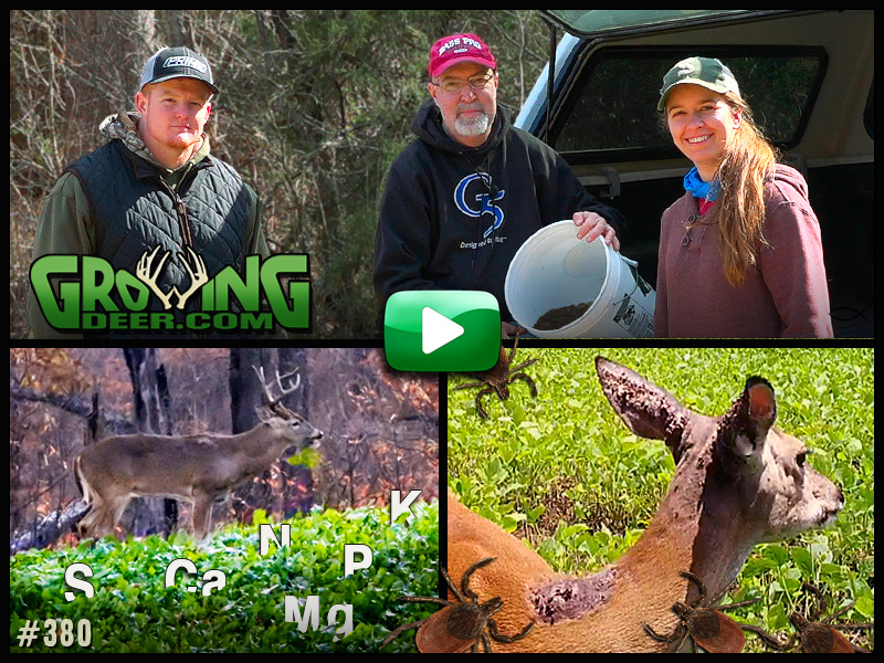 We take steps to help the deer herd reach its potential in GrowingDeer episode 380.