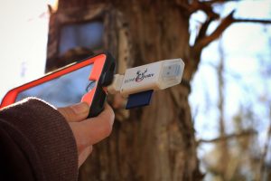 Using BoneView to check a trail camera in the field.