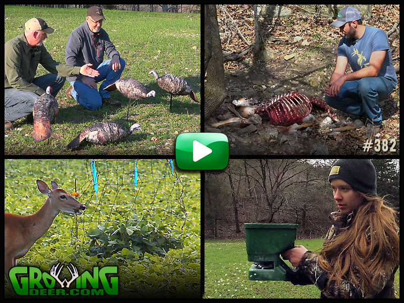 Watch GrowingDeer episode 382 to learn how we prepare food sources for deer and turkey hunting.