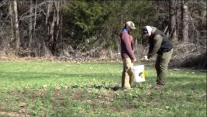 Taking a soil sample from a food plot