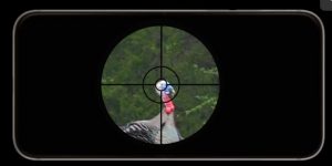 Turkey in the crosshairs of a scope.