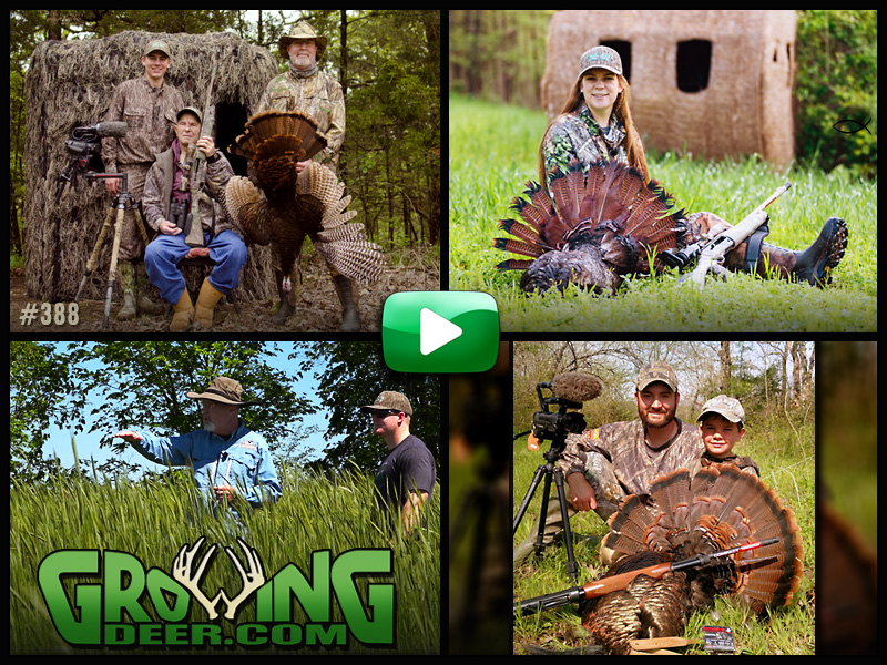 Watch three turkey hunts in GrowingDeer episode #388.