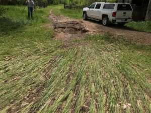 Cover crop versus erosion