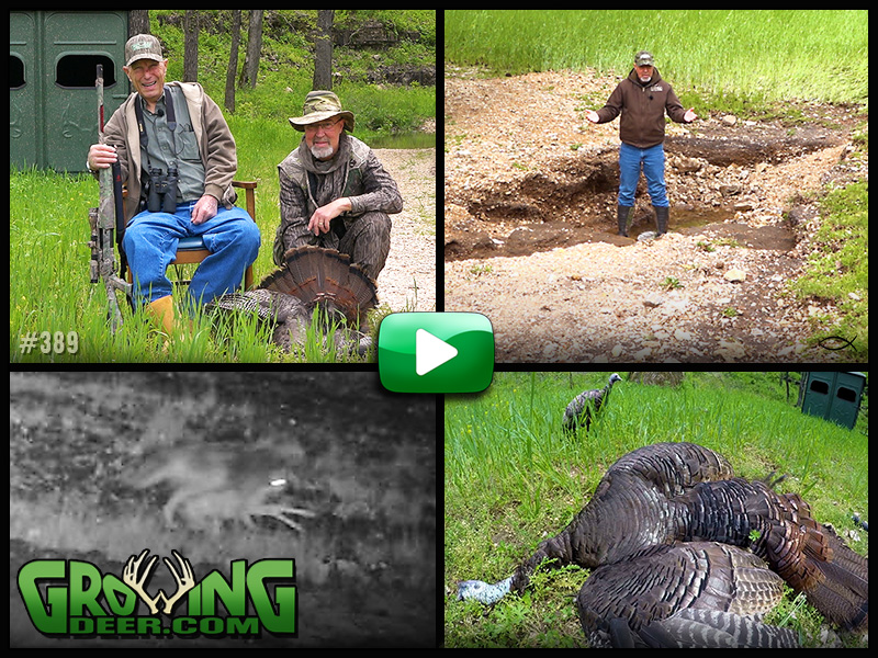 Watch Pops Woods tags a gobbler and tips for food plot success in GrowingDeer episode #389.