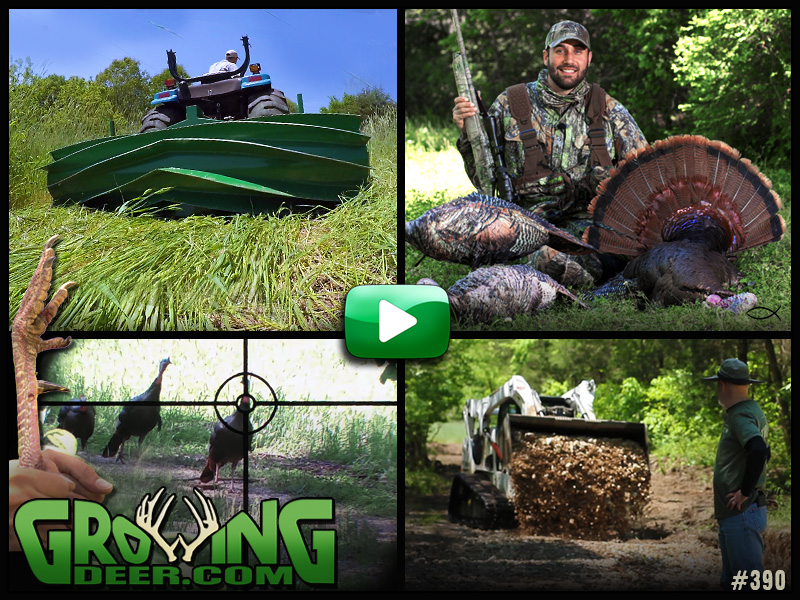 A turkey hunt and food plot tips in GrowingDeer episode 390.