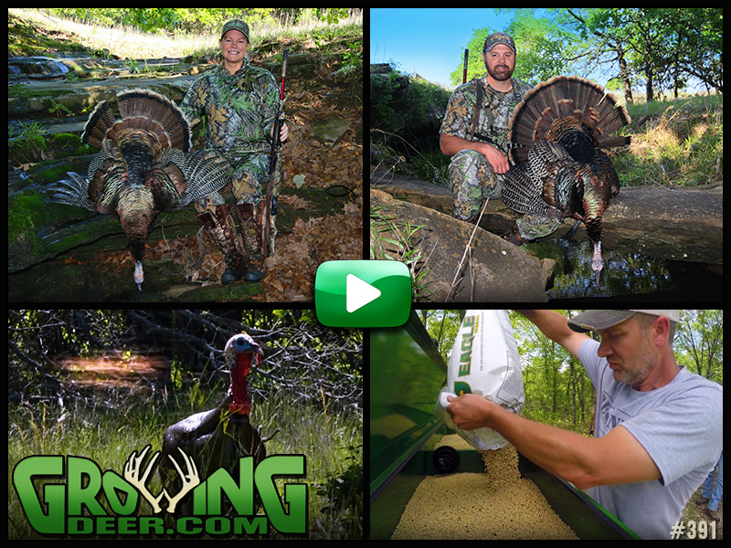 Watch a Kansas turkey hunt in GrowingDeer episode 391.
