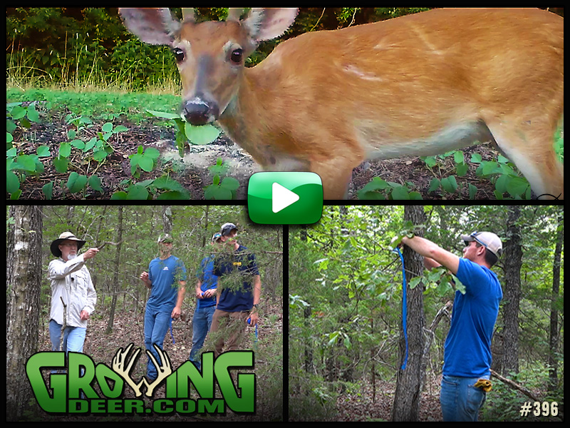 Learn how we design a new food plot in GrowingDeer episode 396.