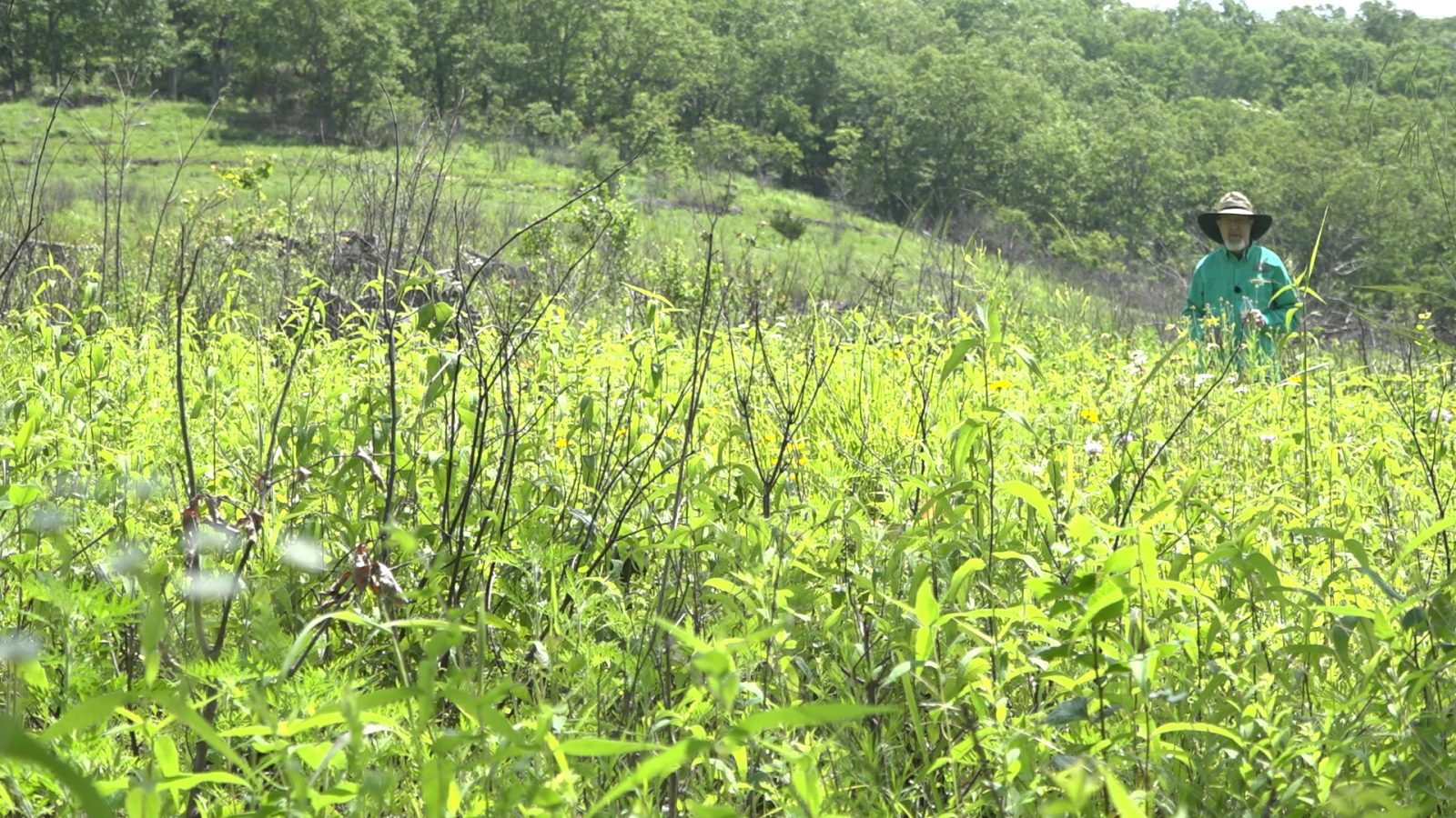 Grant standing in a glade at The Proving Grounds