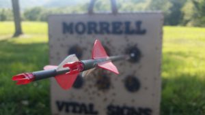 An arrow sticking out of a Morrell Target