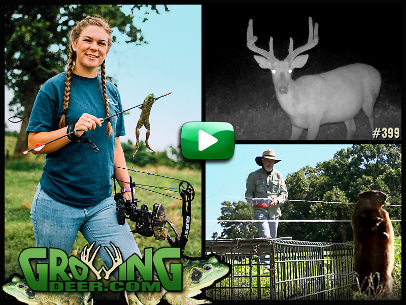 Food plot decisions and frog hunting in GrowingDeer episode #399.