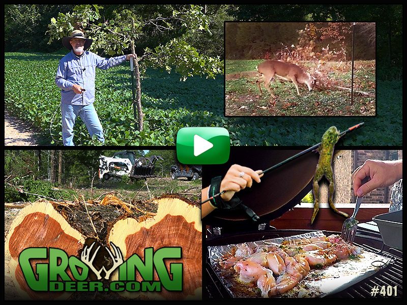 Learn how to convert pasture and create mock scrapes in GrowingDeer episode 401.