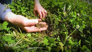 Grant inspects the soil in a food plot