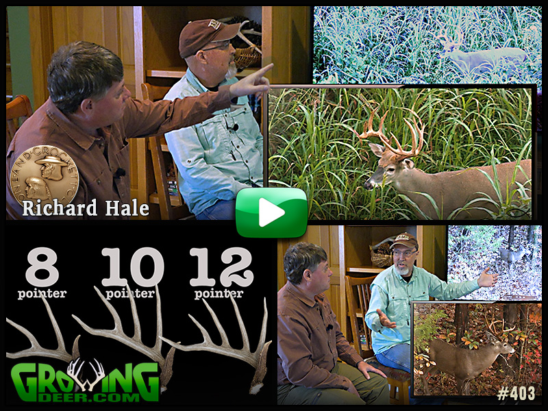 Learn how to estimate a buck’s score from a guest Boone & Crockett expert