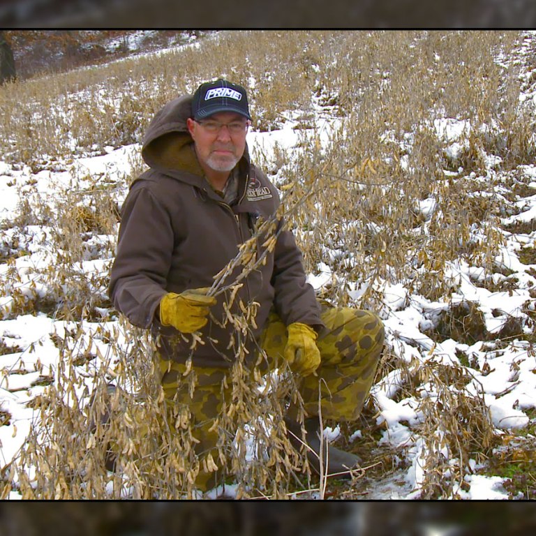 Late Winter Food Plots For Bigger Antlers this Spring! • Hunting Advice