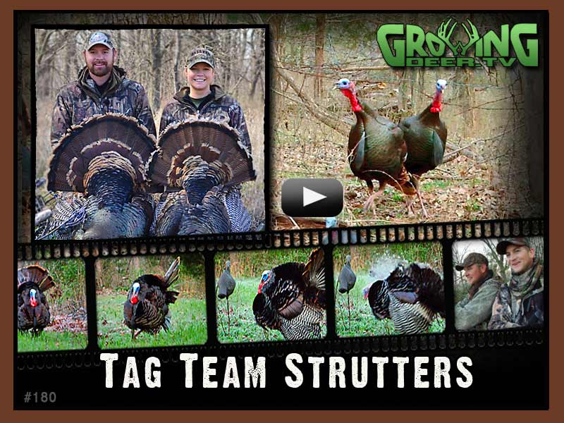 Turkey Hunting Tag Team Strutters Episode 180 • Hunting Advice and