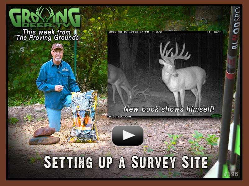 Grant shows how to set up a trail camera survey site in GrowingDeer.tv episode 197.