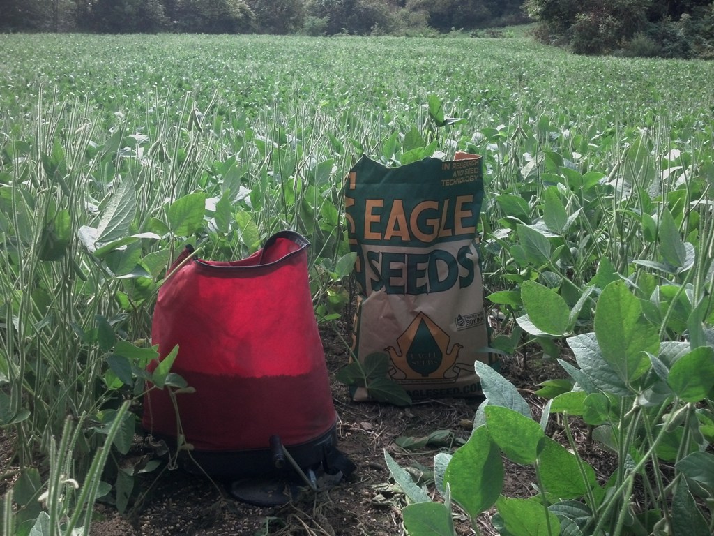 green food plot with a hand spreader and a bag of Eagle Seeds Broadside mix