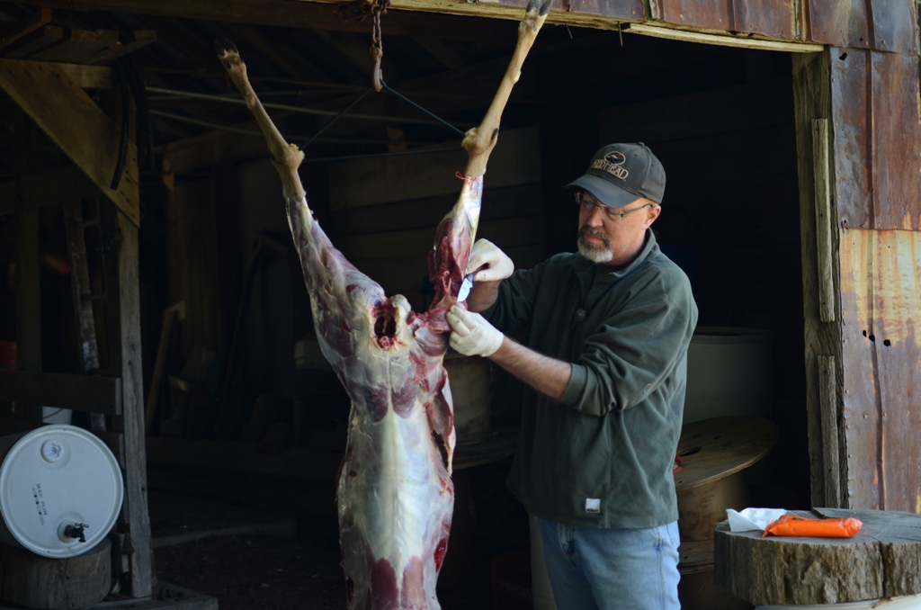 Dr. Grant Woods cutting up a deer to make venison meat