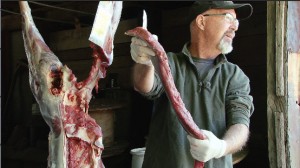 Processing your own deer meat
