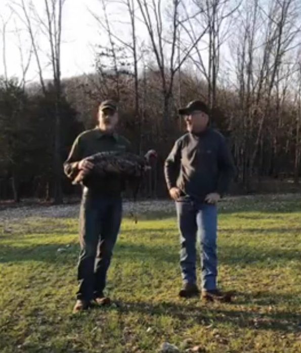 Food Plots • Hunting Advice and Tips For Serious Deer And Turkey Hunters