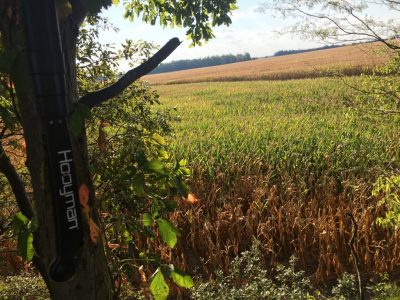 Scouting public land for deer hunting locations