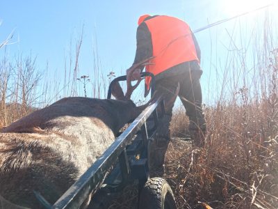 Using a Viking Tilt-N-Go to pack out a deer