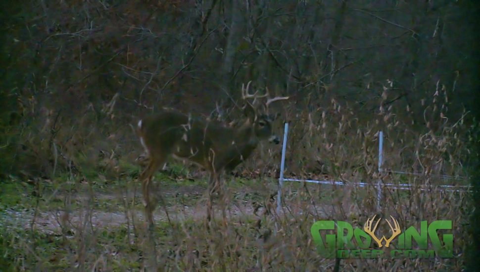 December Get the Most out of Deer Hunting • Hunting Advice and Tips