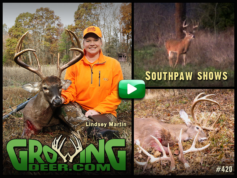 Watch the Martins tag a massive buck in episode 420 on GrowingDeer.com.